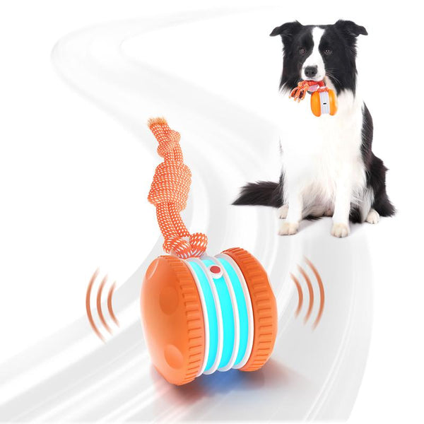 busyball interactive dog ball – Keep Your Pet Relaxed, Happy & Content 🐾